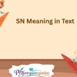 SN Meaning in Text