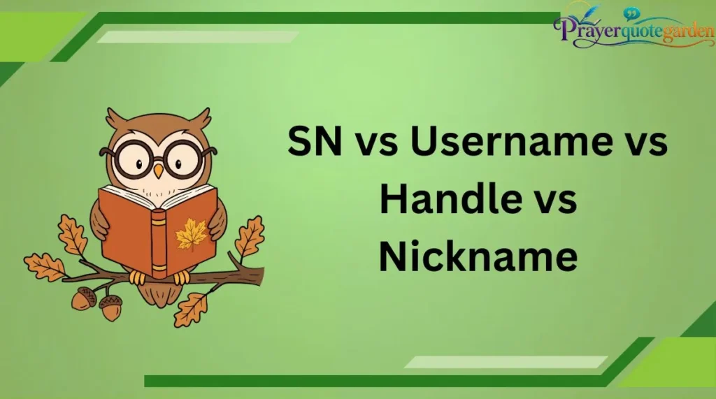 SN vs Username vs Handle vs Nickname