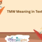 TMW Meaning in Text